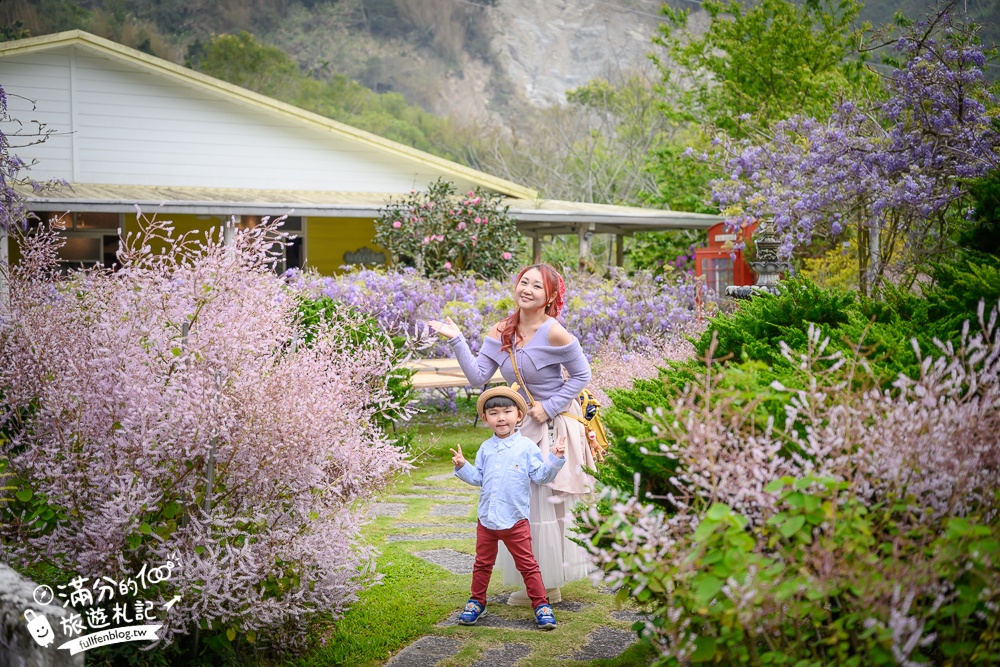 【2026阿喜紫藤花季】瑞里最美紫藤花園民宿,賞花預約方式攻略,山城中最美紫色仙境！
