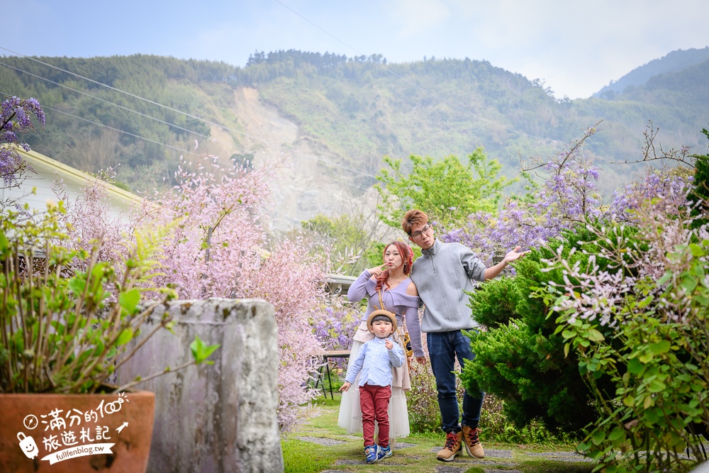 【2026阿喜紫藤花季】瑞里最美紫藤花園民宿,賞花預約方式攻略,山城中最美紫色仙境！