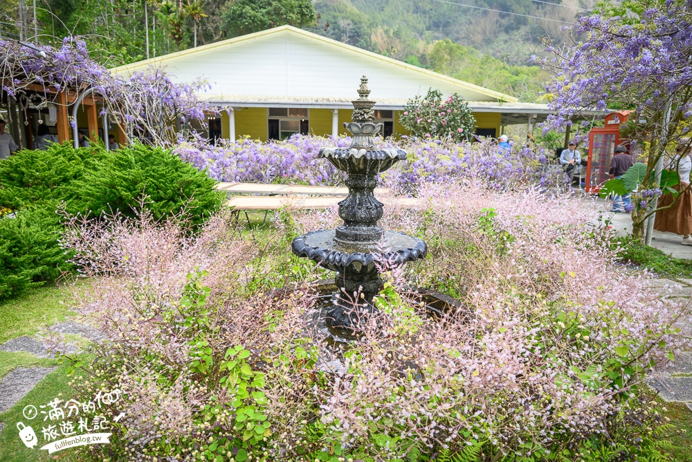 【2026阿喜紫藤花季】瑞里最美紫藤花園民宿,賞花預約方式攻略,山城中最美紫色仙境！