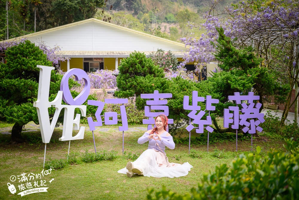 【2026阿喜紫藤花季】瑞里最美紫藤花園民宿,賞花預約方式攻略,山城中最美紫色仙境！