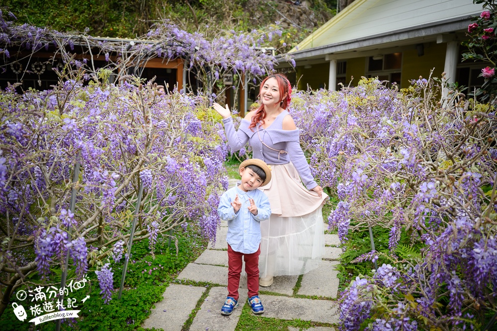 【2026阿喜紫藤花季】瑞里最美紫藤花園民宿,賞花預約方式攻略,山城中最美紫色仙境！