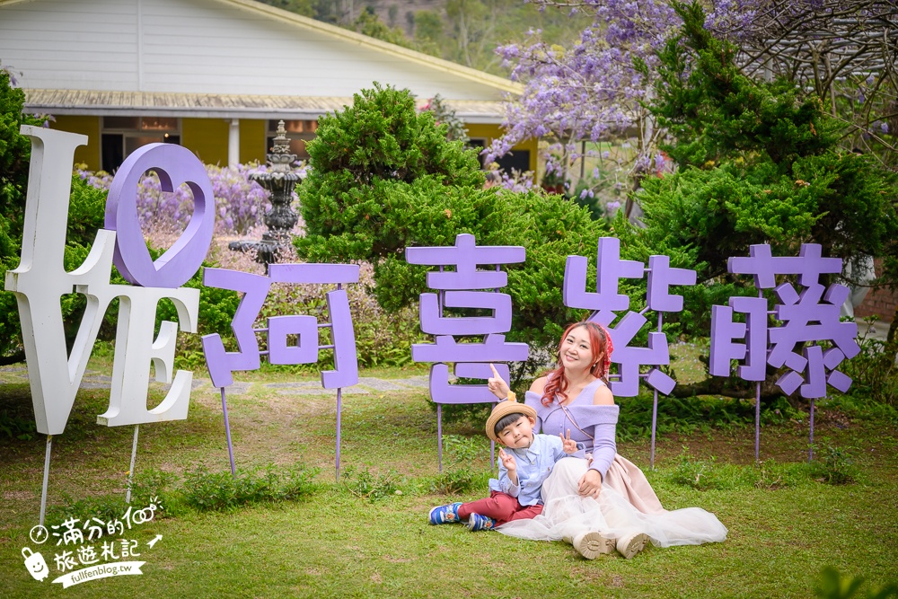 【2026阿喜紫藤花季】瑞里最美紫藤花園民宿,賞花預約方式攻略,山城中最美紫色仙境！