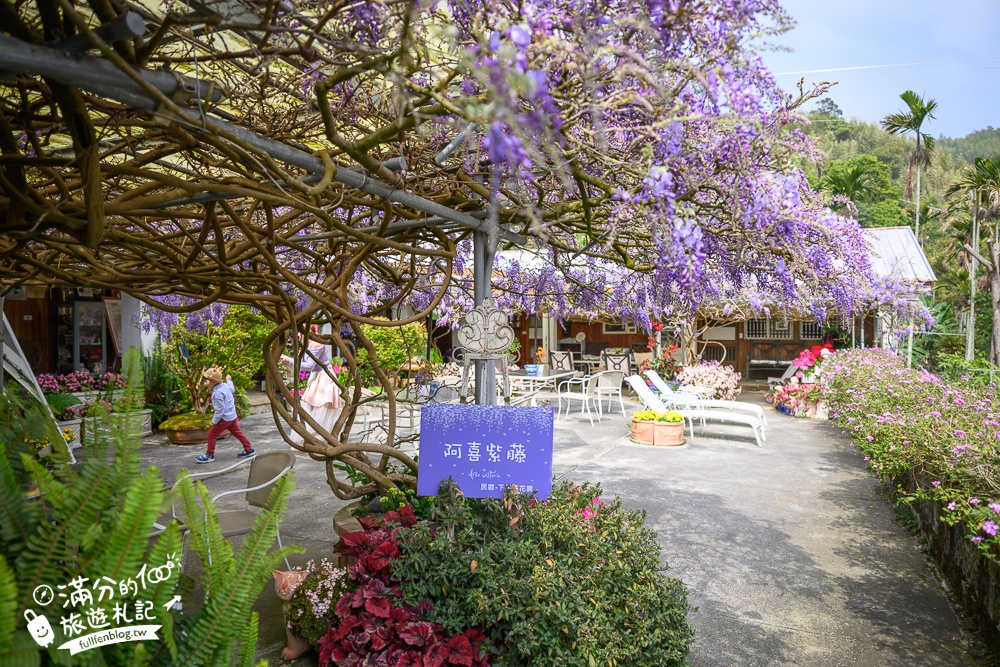 【2026阿喜紫藤花季】瑞里最美紫藤花園民宿,賞花預約方式攻略,山城中最美紫色仙境！