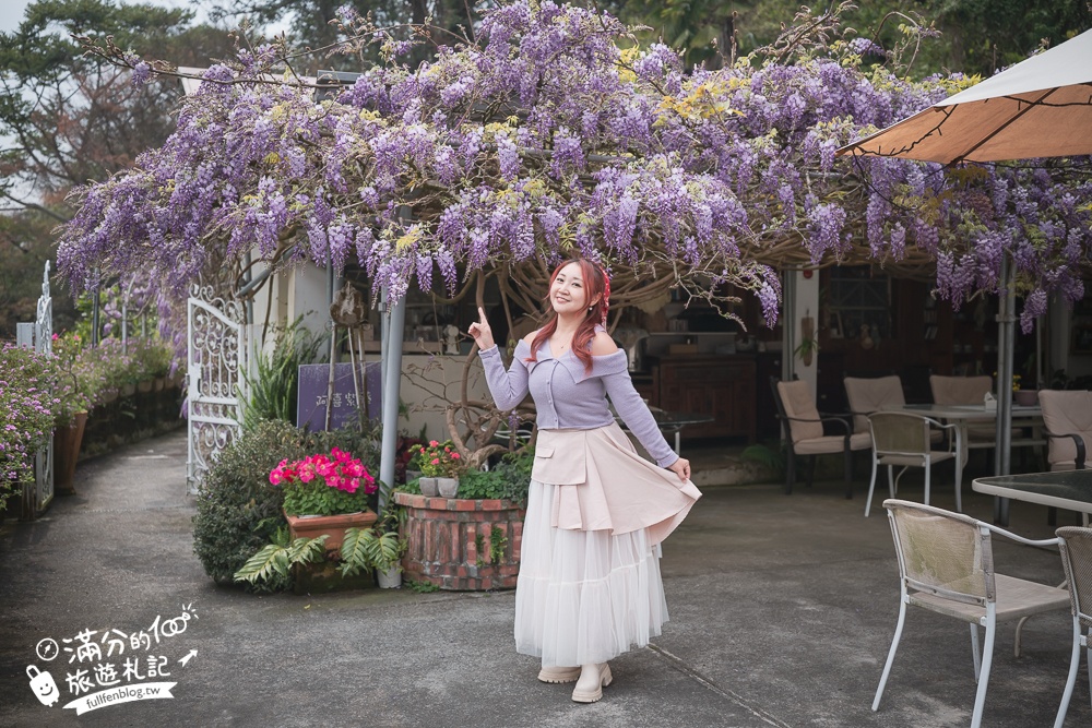 【2026阿喜紫藤花季】瑞里最美紫藤花園民宿,賞花預約方式攻略,山城中最美紫色仙境！