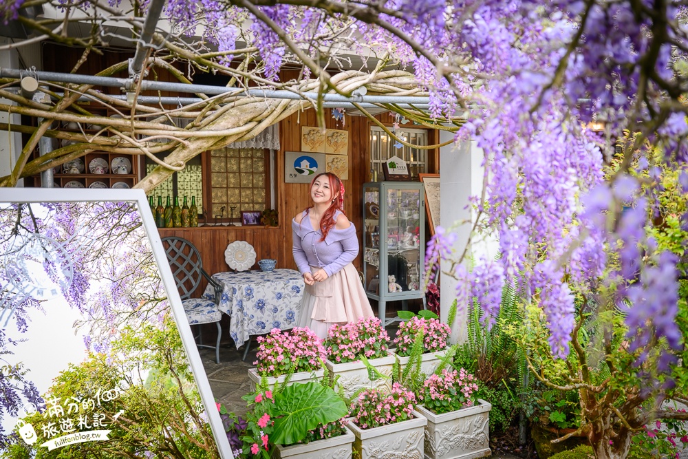 【2026阿喜紫藤花季】瑞里最美紫藤花園民宿,賞花預約方式攻略,山城中最美紫色仙境！