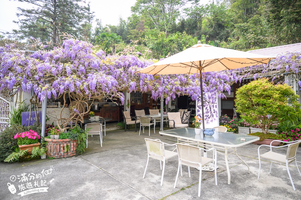 【2026阿喜紫藤花季】瑞里最美紫藤花園民宿,賞花預約方式攻略,山城中最美紫色仙境！