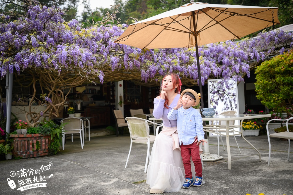 【2026阿喜紫藤花季】瑞里最美紫藤花園民宿,賞花預約方式攻略,山城中最美紫色仙境！