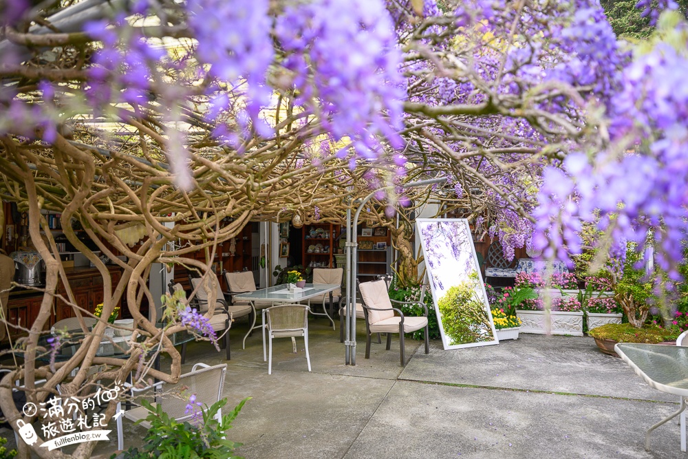 【2026阿喜紫藤花季】瑞里最美紫藤花園民宿,賞花預約方式攻略,山城中最美紫色仙境！