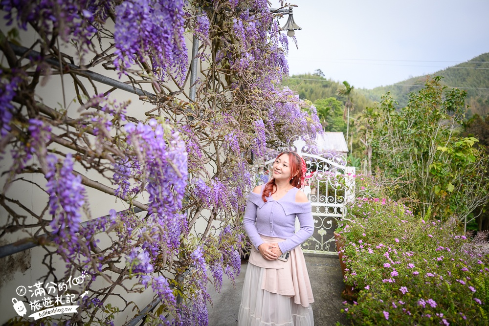 【2026阿喜紫藤花季】瑞里最美紫藤花園民宿,賞花預約方式攻略,山城中最美紫色仙境！