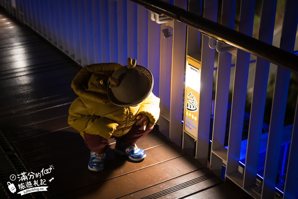 【太平雲梯夜間點燈時間】每週只開放一天星光通行,海拔1000公尺的星光大道,將星空和百萬夜景燈海盡收眼底!