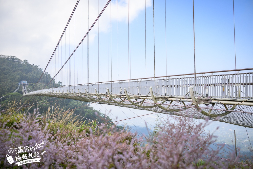 【2026梅山太平雲梯最新玩法】走吊橋.望茶田.逛老街.嘉義海拔最高最美天空步道, 帶你漫步在雲端!