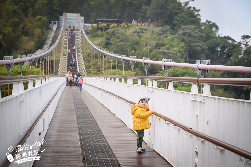 【2026梅山太平雲梯最新玩法】走吊橋.望茶田.逛老街.嘉義海拔最高最美天空步道, 帶你漫步在雲端!