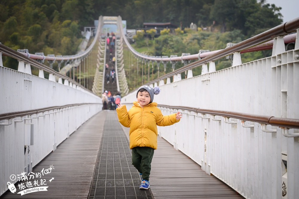【2026梅山太平雲梯最新玩法】走吊橋.望茶田.逛老街.嘉義海拔最高最美天空步道, 帶你漫步在雲端!
