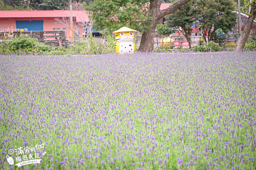 【獅潭景點一日遊】TOP7獅潭景點推薦.苗栗仙草的故鄉.必吃仙草料理.逛老街.特色親子公園.季節限定花海!