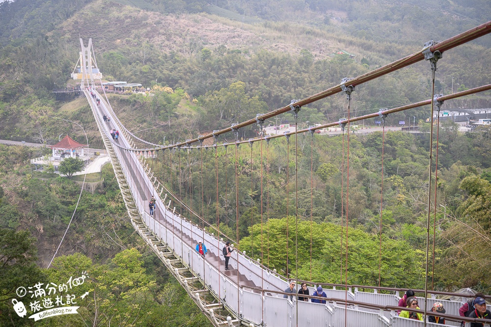 【2026梅山太平雲梯最新玩法】走吊橋.望茶田.逛老街.嘉義海拔最高最美天空步道, 帶你漫步在雲端!