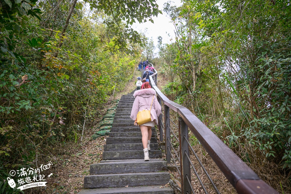 【2026梅山太平雲梯最新玩法】走吊橋.望茶田.逛老街.嘉義海拔最高最美天空步道, 帶你漫步在雲端!