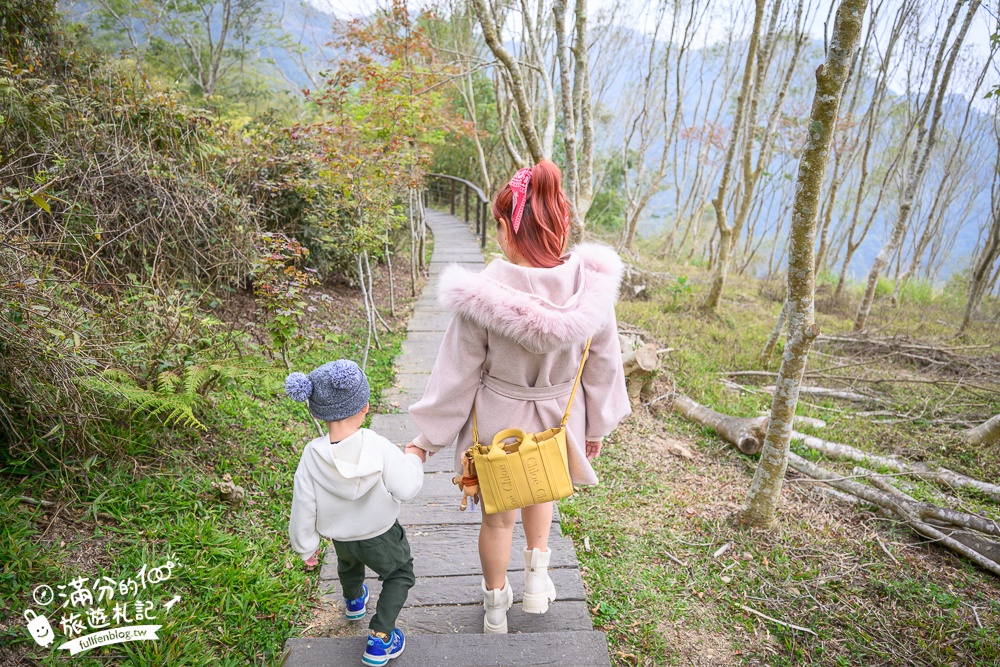 【2026梅山太平雲梯最新玩法】走吊橋.望茶田.逛老街.嘉義海拔最高最美天空步道, 帶你漫步在雲端!