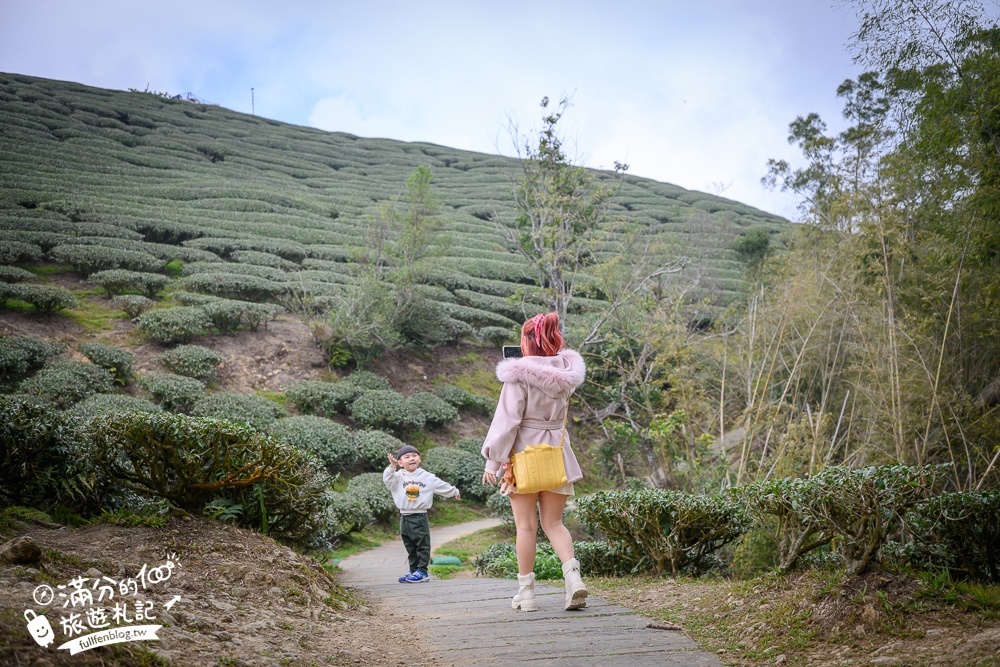 【2026梅山太平雲梯最新玩法】走吊橋.望茶田.逛老街.嘉義海拔最高最美天空步道, 帶你漫步在雲端!