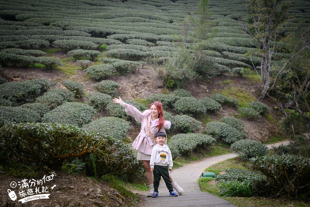 【2026梅山太平雲梯最新玩法】走吊橋.望茶田.逛老街.嘉義海拔最高最美天空步道, 帶你漫步在雲端!