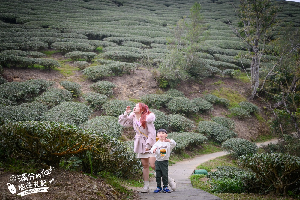 【2026梅山太平雲梯最新玩法】走吊橋.望茶田.逛老街.嘉義海拔最高最美天空步道, 帶你漫步在雲端!
