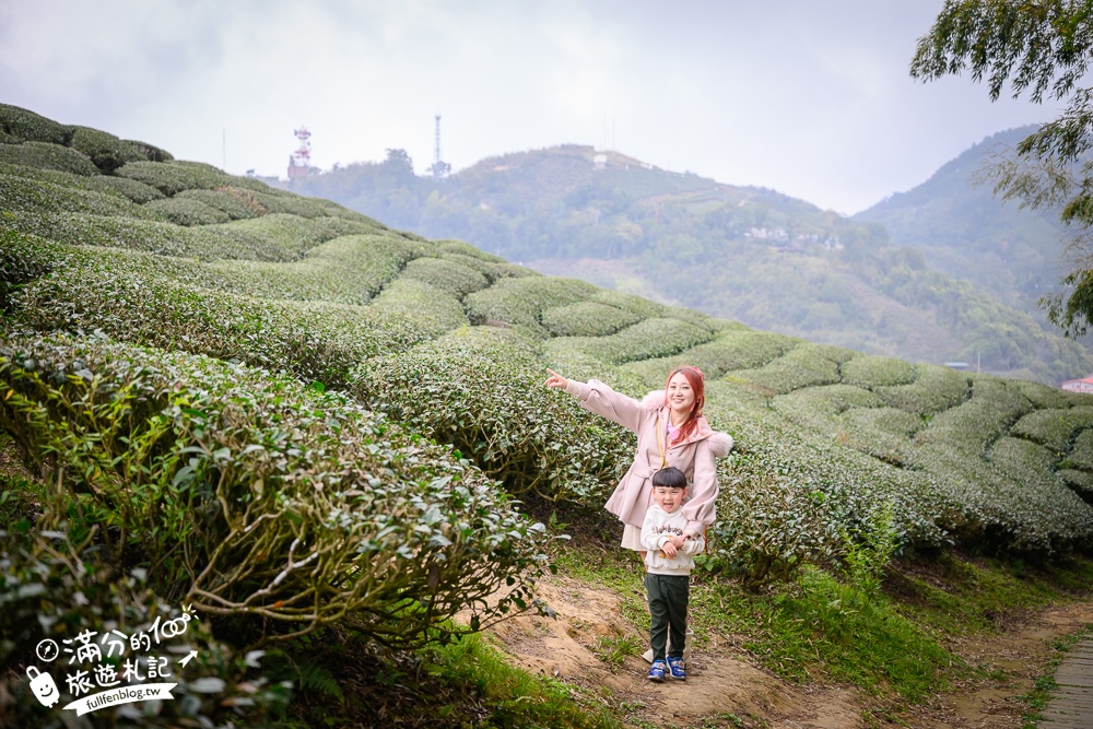 【2026梅山太平雲梯最新玩法】走吊橋.望茶田.逛老街.嘉義海拔最高最美天空步道, 帶你漫步在雲端!