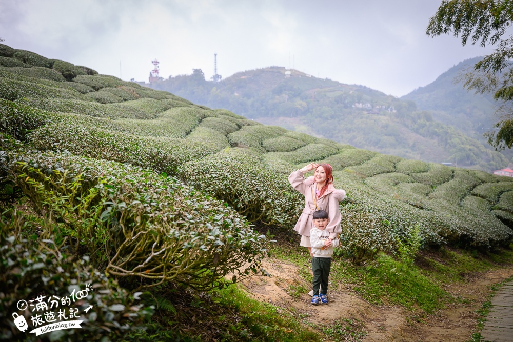 【2026梅山太平雲梯最新玩法】走吊橋.望茶田.逛老街.嘉義海拔最高最美天空步道, 帶你漫步在雲端!