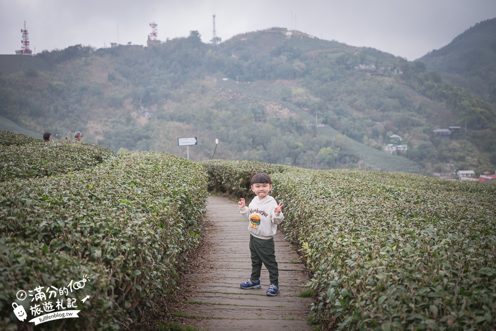 【2026梅山太平雲梯最新玩法】走吊橋.望茶田.逛老街.嘉義海拔最高最美天空步道, 帶你漫步在雲端!