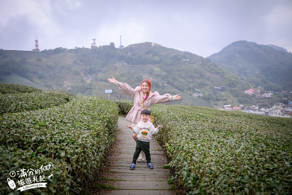 【2026梅山太平雲梯最新玩法】走吊橋.望茶田.逛老街.嘉義海拔最高最美天空步道, 帶你漫步在雲端!
