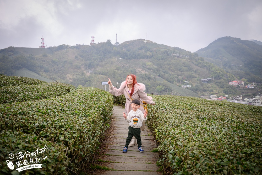 【2026梅山太平雲梯最新玩法】走吊橋.望茶田.逛老街.嘉義海拔最高最美天空步道, 帶你漫步在雲端!