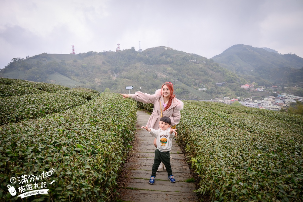 【2026梅山太平雲梯最新玩法】走吊橋.望茶田.逛老街.嘉義海拔最高最美天空步道, 帶你漫步在雲端!
