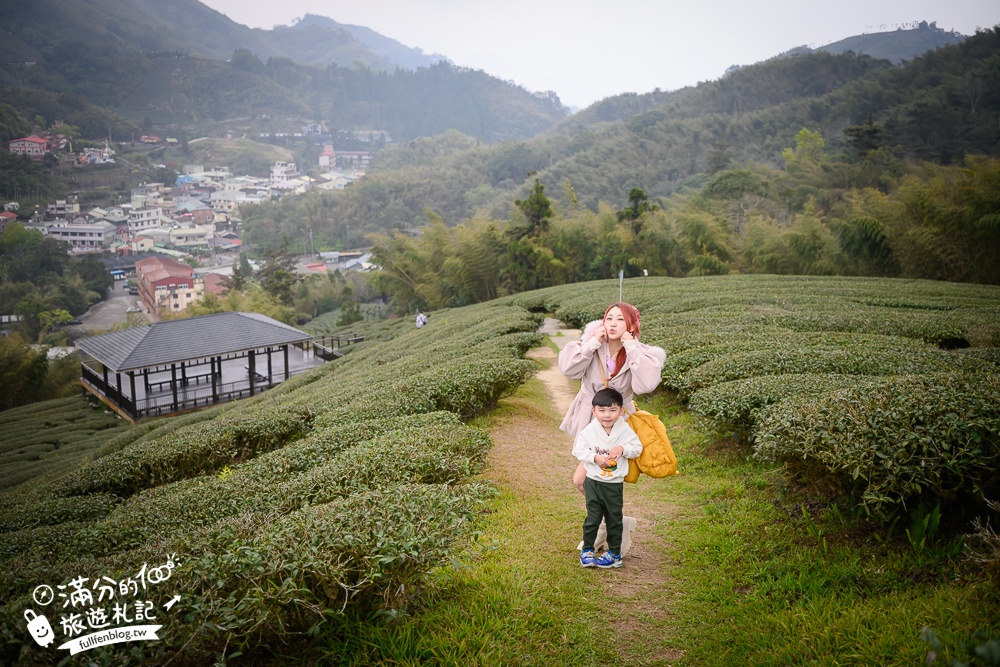 【2026梅山太平雲梯最新玩法】走吊橋.望茶田.逛老街.嘉義海拔最高最美天空步道, 帶你漫步在雲端!