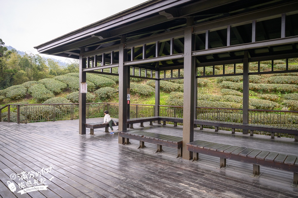 【2026梅山太平雲梯最新玩法】走吊橋.望茶田.逛老街.嘉義海拔最高最美天空步道, 帶你漫步在雲端!