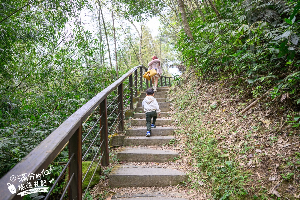 【2026梅山太平雲梯最新玩法】走吊橋.望茶田.逛老街.嘉義海拔最高最美天空步道, 帶你漫步在雲端!