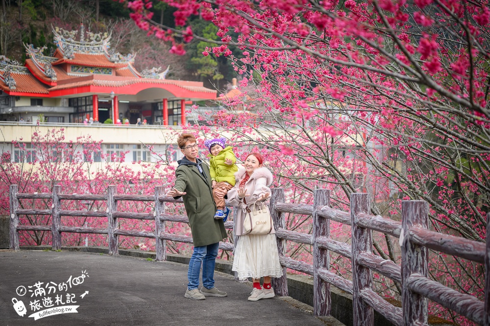 【獅潭景點一日遊】TOP7獅潭景點推薦.苗栗仙草的故鄉.必吃仙草料理.逛老街.特色親子公園.季節限定花海!