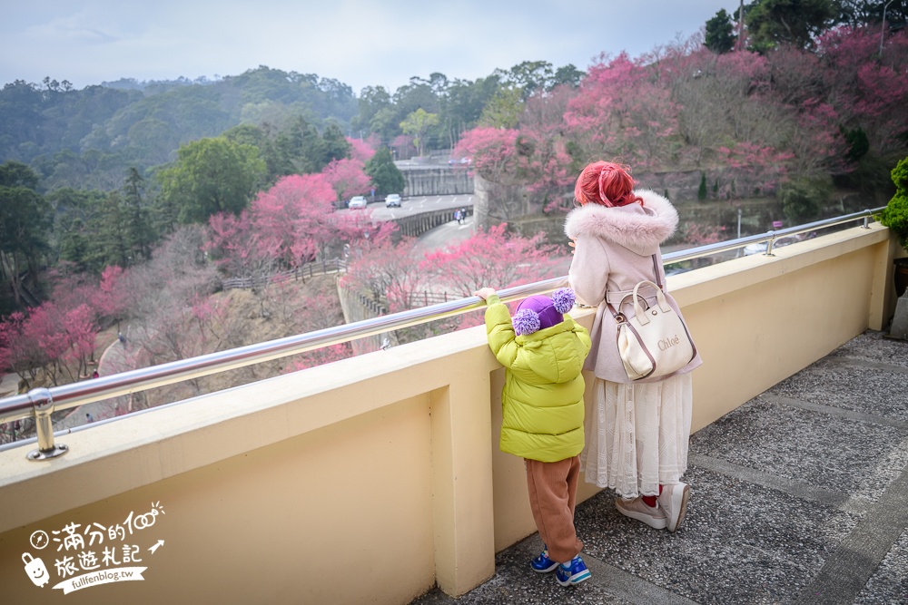 【獅潭景點一日遊】TOP7獅潭景點推薦.苗栗仙草的故鄉.必吃仙草料理.逛老街.特色親子公園.季節限定花海!