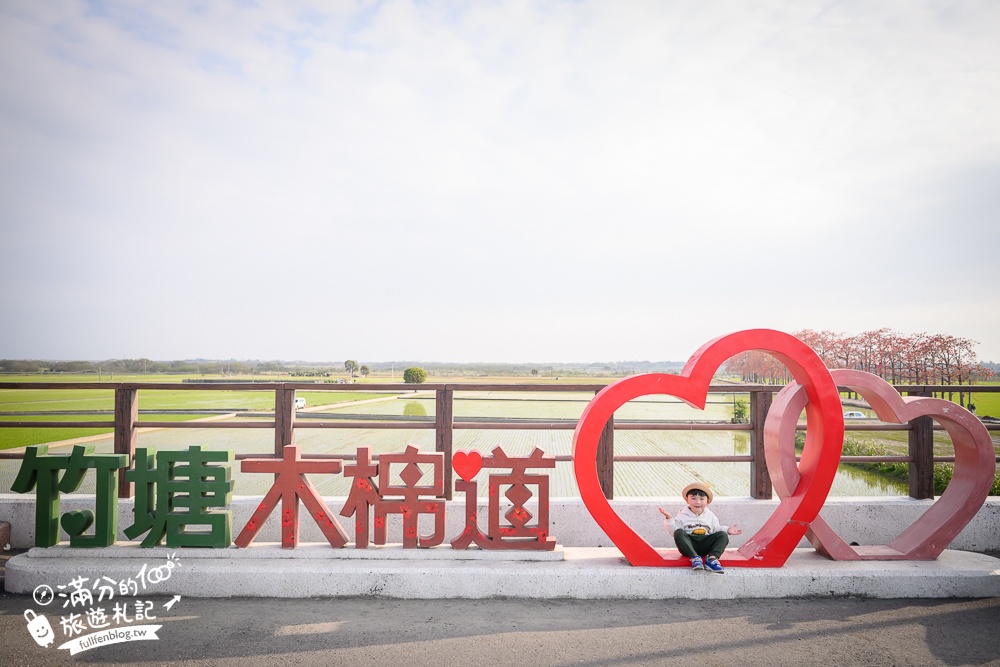 【彰化竹塘木棉花道】水神樹公田野間的木棉花秘境，浪漫雙心太陽花隧道!
