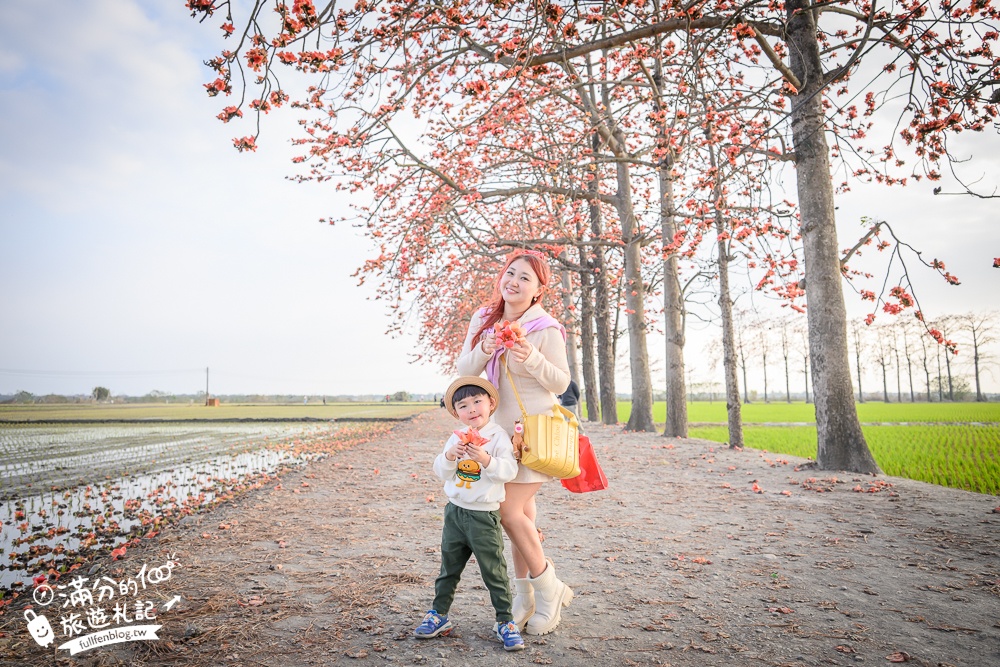 【彰化竹塘木棉花道】水神樹公田野間的木棉花秘境，浪漫雙心太陽花隧道!