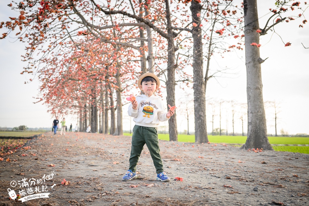 【彰化竹塘木棉花道】水神樹公田野間的木棉花秘境，浪漫雙心太陽花隧道!