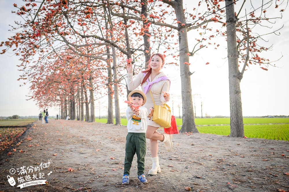 【彰化竹塘木棉花道】水神樹公田野間的木棉花秘境，浪漫雙心太陽花隧道!