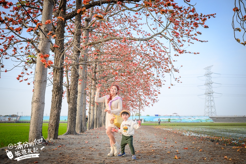 【彰化竹塘木棉花道】水神樹公田野間的木棉花秘境，浪漫雙心太陽花隧道!