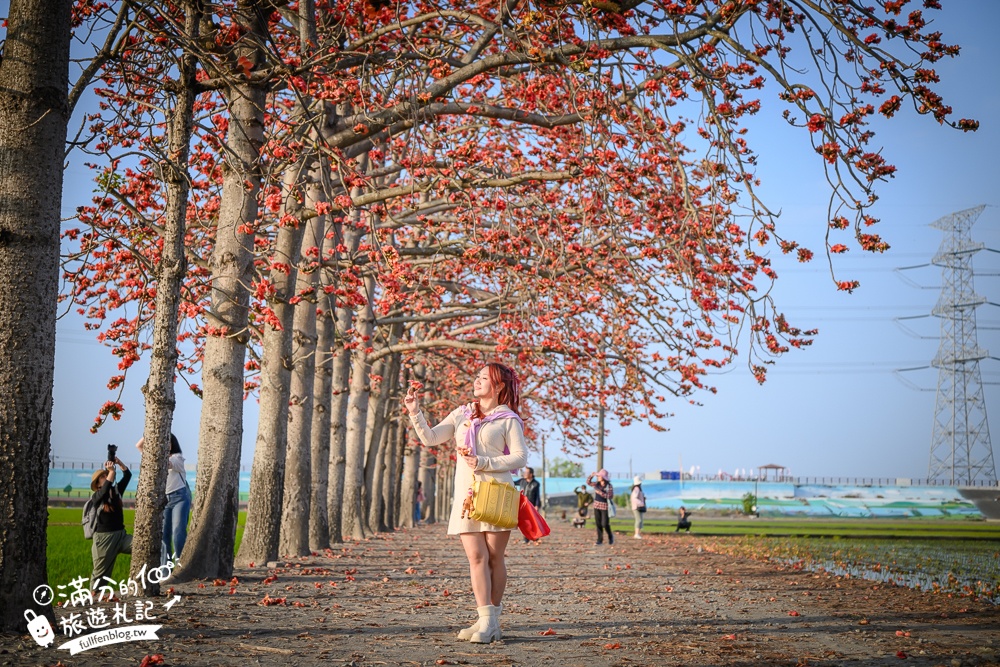【彰化竹塘木棉花道】水神樹公田野間的木棉花秘境，浪漫雙心太陽花隧道!
