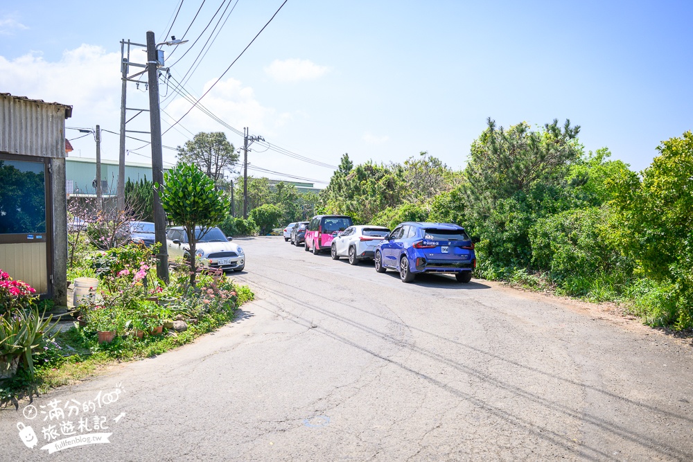 【聖德路櫻花巷】桃園隱藏版櫻花步道,盛放的富士櫻超迷人,還有墨染櫻花可以近距離合影!
