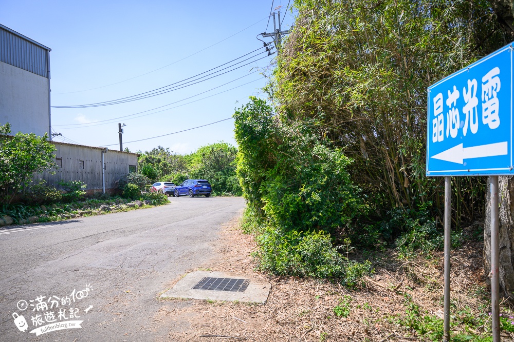 【聖德路櫻花巷】桃園隱藏版櫻花步道,盛放的富士櫻超迷人,還有墨染櫻花可以近距離合影!