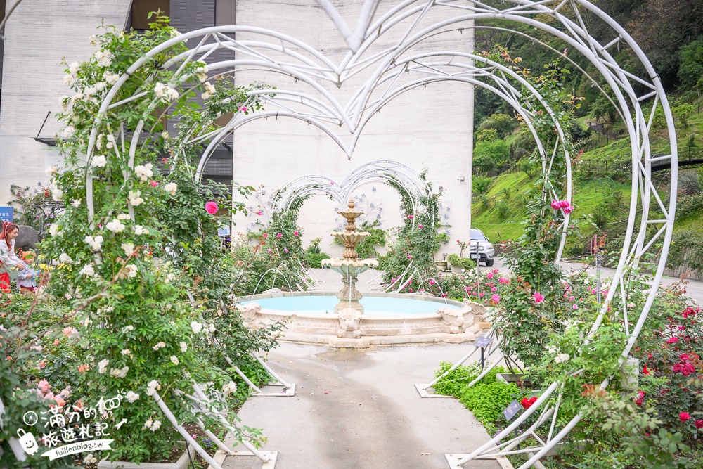 苗栗【雅聞七里香玫瑰森林】全台最大免門票玫瑰花園玩樂攻略,免費入園, 逛花園也能環遊全世界唷!