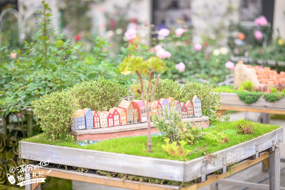 苗栗【雅聞七里香玫瑰森林】全台最大免門票玫瑰花園玩樂攻略,免費入園, 逛花園也能環遊全世界唷!