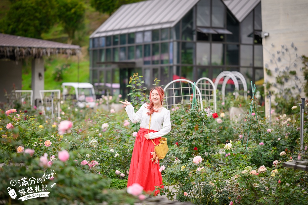苗栗【雅聞七里香玫瑰森林】全台最大免門票玫瑰花園玩樂攻略,免費入園, 逛花園也能環遊全世界唷!