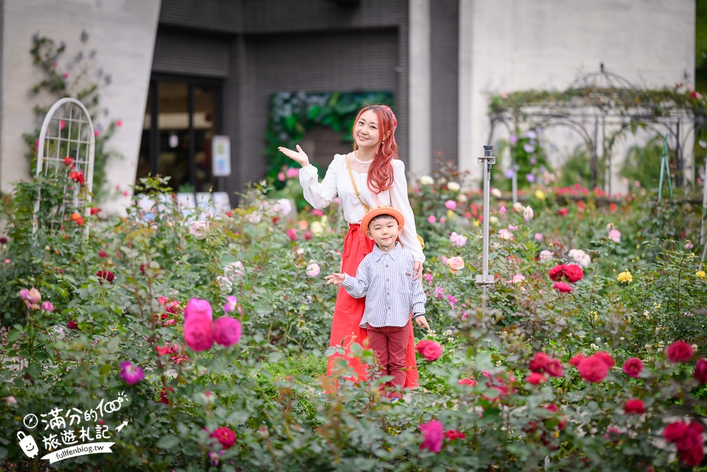 苗栗【雅聞七里香玫瑰森林】全台最大免門票玫瑰花園玩樂攻略,免費入園, 逛花園也能環遊全世界唷!