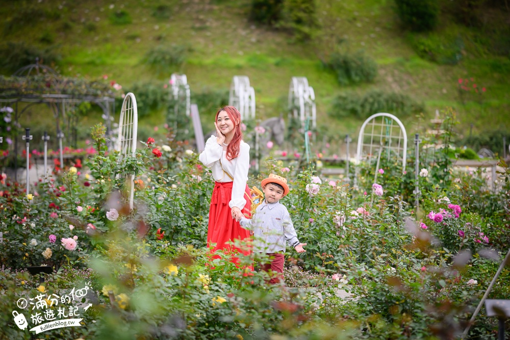 苗栗【雅聞七里香玫瑰森林】全台最大免門票玫瑰花園玩樂攻略,免費入園, 逛花園也能環遊全世界唷!