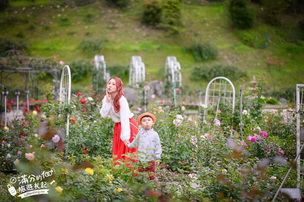 苗栗【雅聞七里香玫瑰森林】全台最大免門票玫瑰花園玩樂攻略,免費入園, 逛花園也能環遊全世界唷!