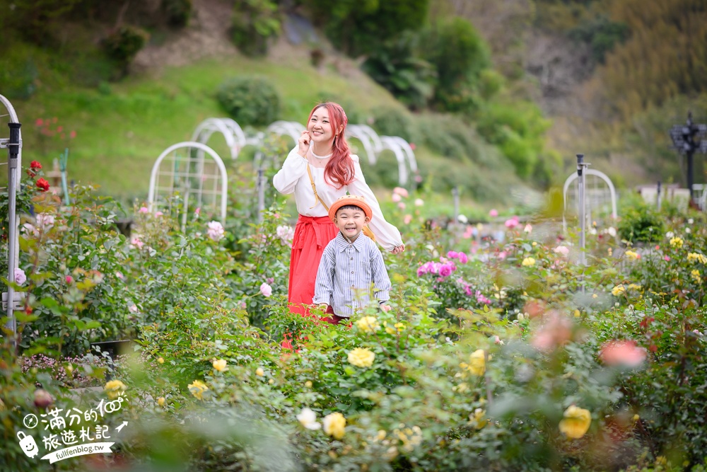 苗栗【雅聞七里香玫瑰森林】全台最大免門票玫瑰花園玩樂攻略,免費入園, 逛花園也能環遊全世界唷!